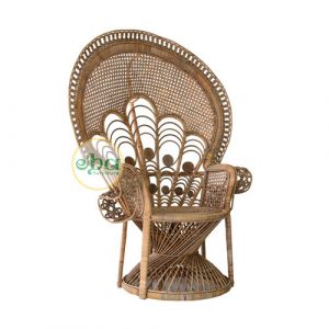 Claudya Peacock Rattan Chair
